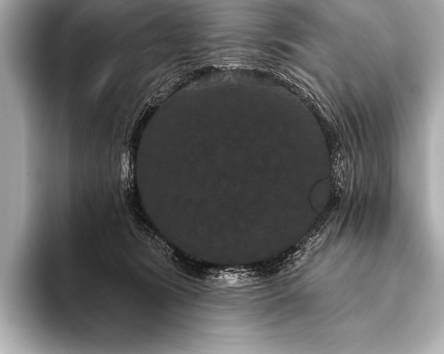 X0000093400420200710260921