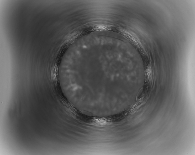 X0000093400423200710260921