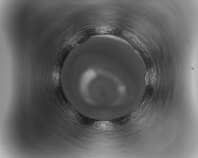 X0000093400427200710260921