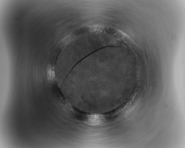 X0000093400432200710260921