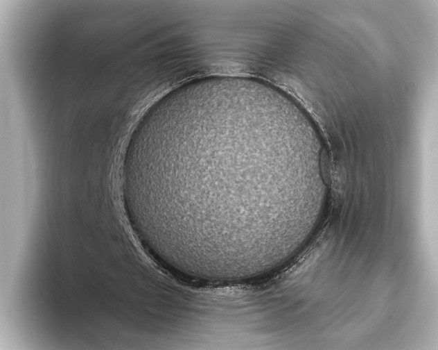 X0000093400433200710260920