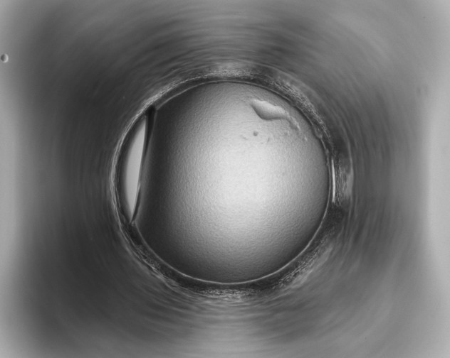 X0000093400435200710260920