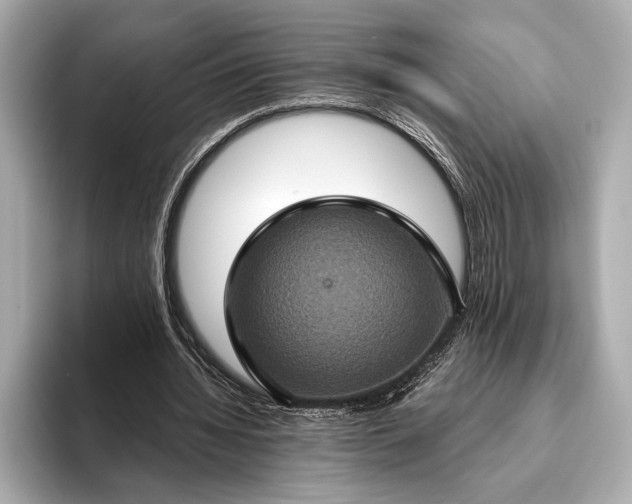 X0000093400436200710260920