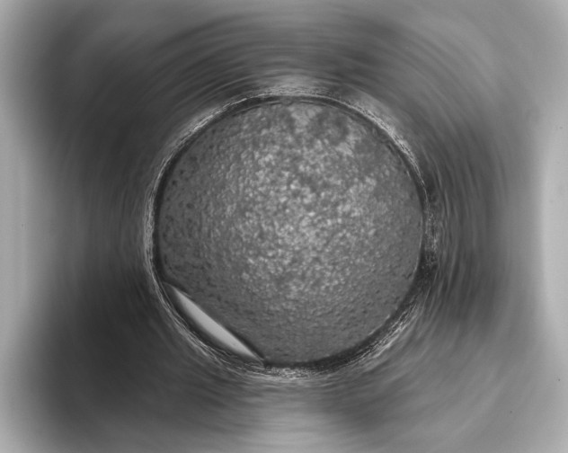 X0000093400437200710260920