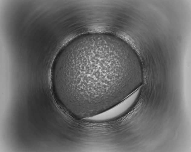 X0000093400439200710260920