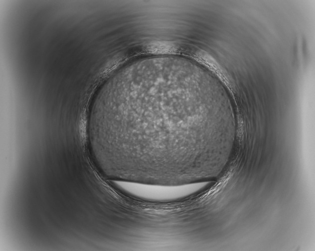 X0000093400441200710260920