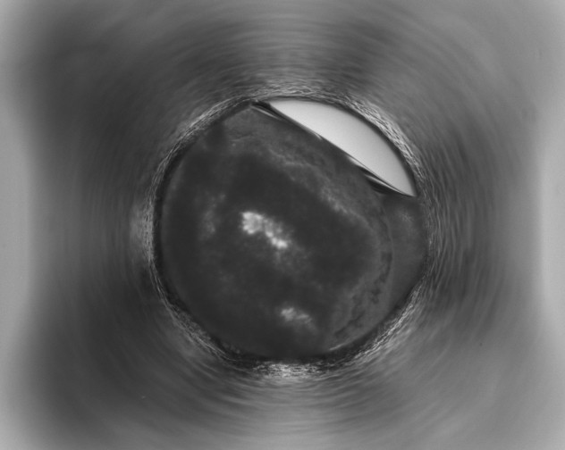 X0000093400442200710260920