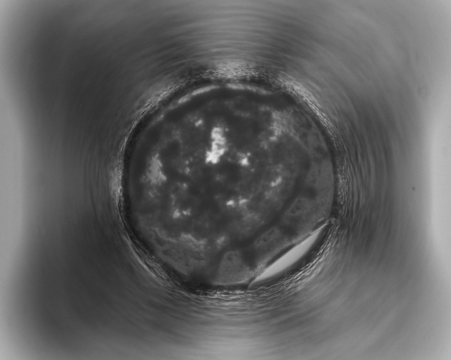 X0000093400443200710260920