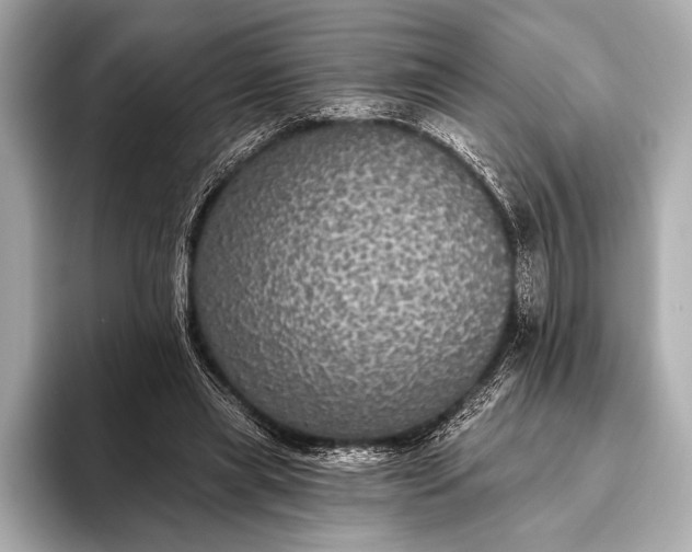 X0000093400445200710260920