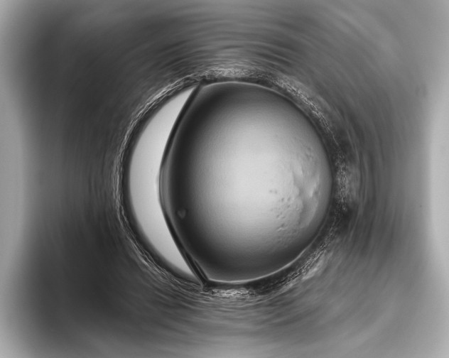 X0000093400446200710260920