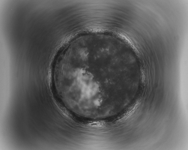 X0000093400447200710260920