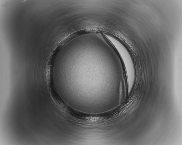 X0000093400448200710260920