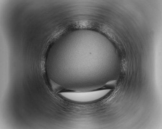 X0000093400450200710260920