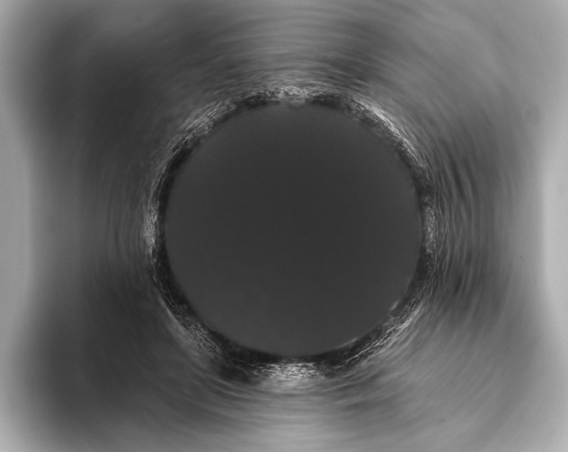 X0000093400451200710260920