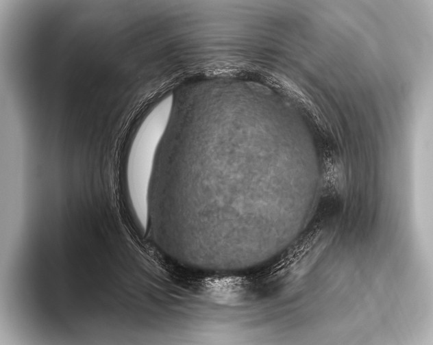 X0000093400452200710260920