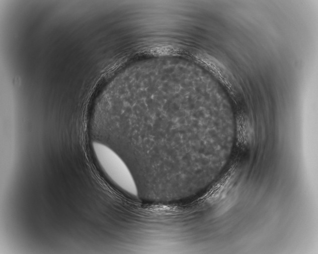 X0000093400453200710260921