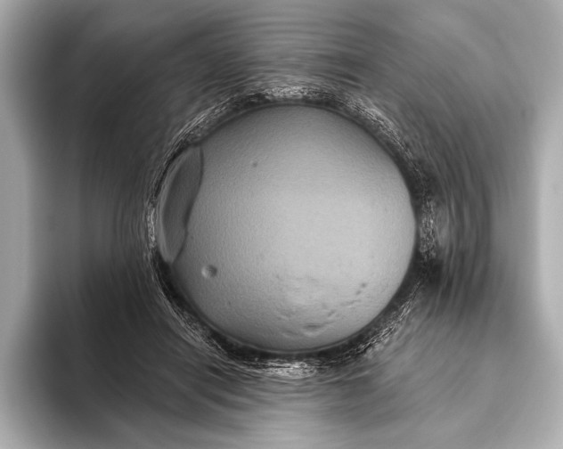 X0000093400454200710260921