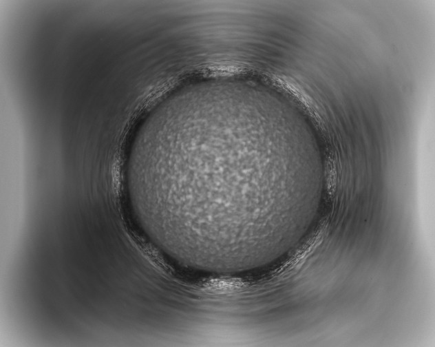 X0000093400455200710260921