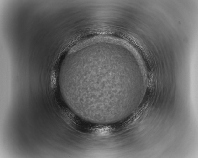 X0000093400456200710260921