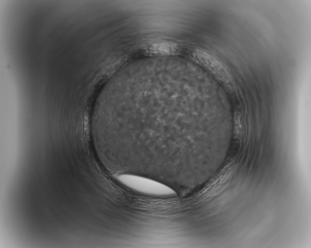 X0000093400457200710260921