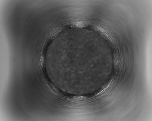 X0000093400459200710260921