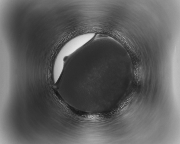 X0000093400462200710260921