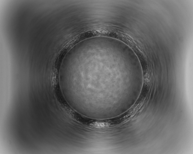 X0000093400464200710260921