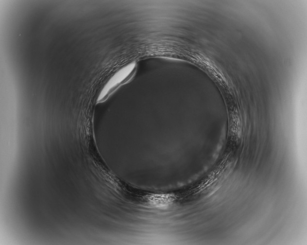 X0000093400465200710260921