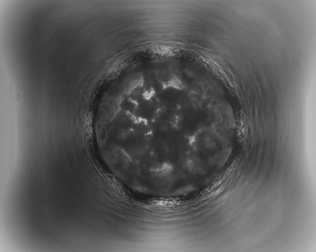 X0000093400466200710260921