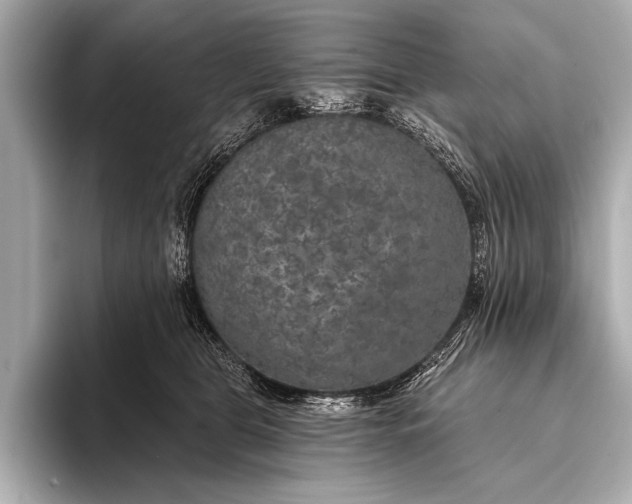 X0000093400469200710260921