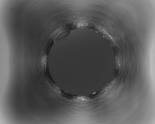 X0000093400475200710260921