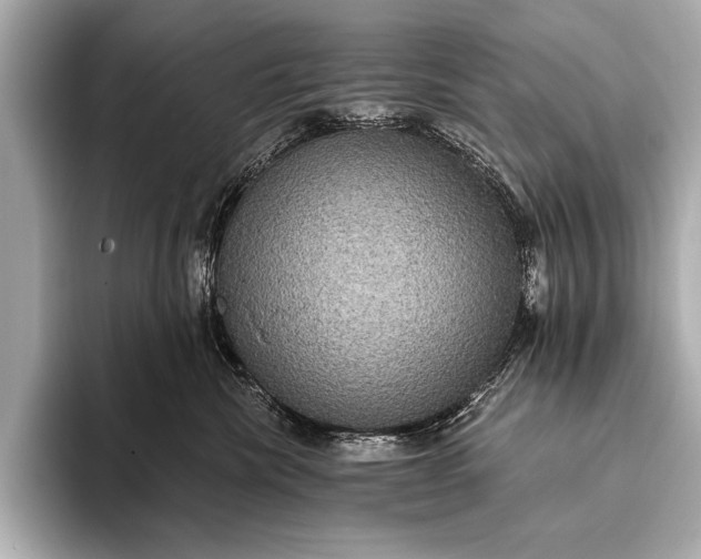 X0000093400476200710260921