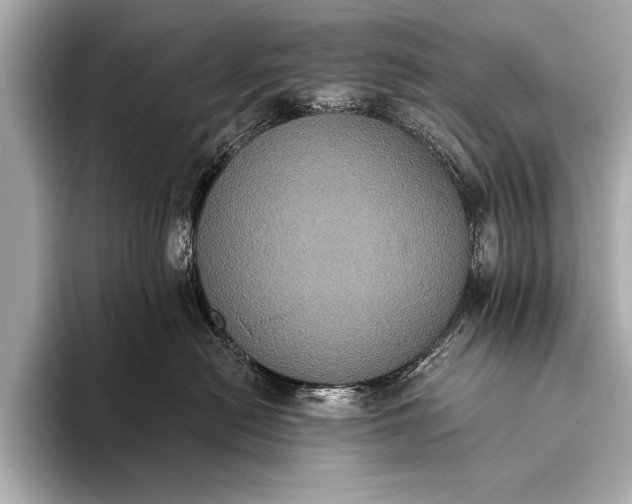 X0000093400478200710260921