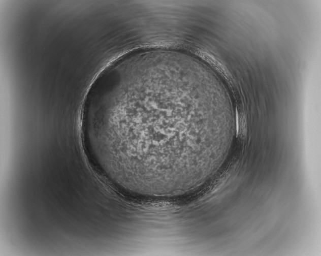 X0000093400483200710260920