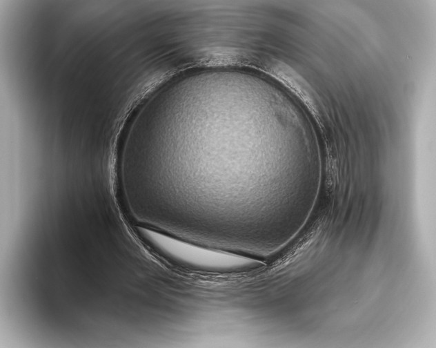 X0000093400485200710260920