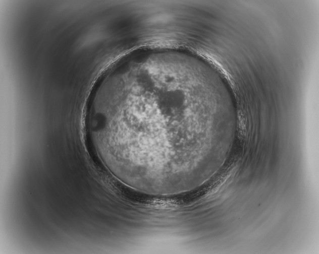 X0000093400487200710260920