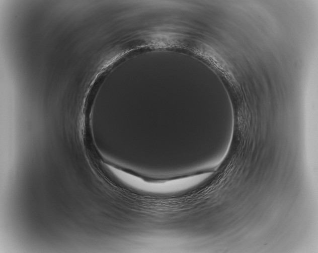 X0000093400488200710260920