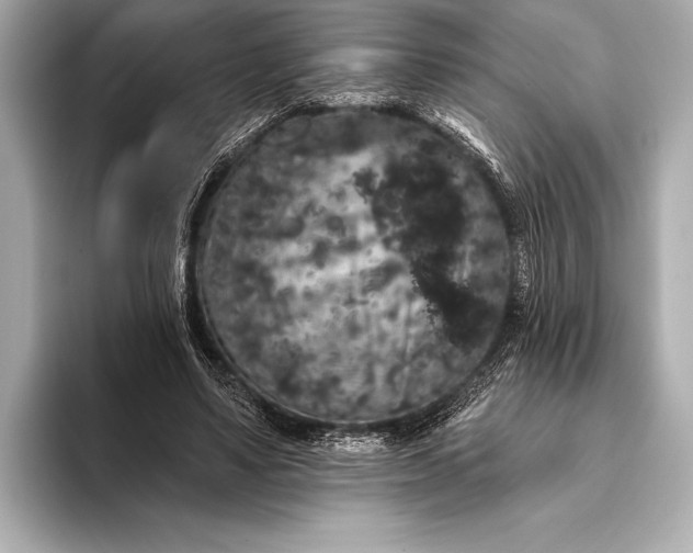 X0000093400491200710260920