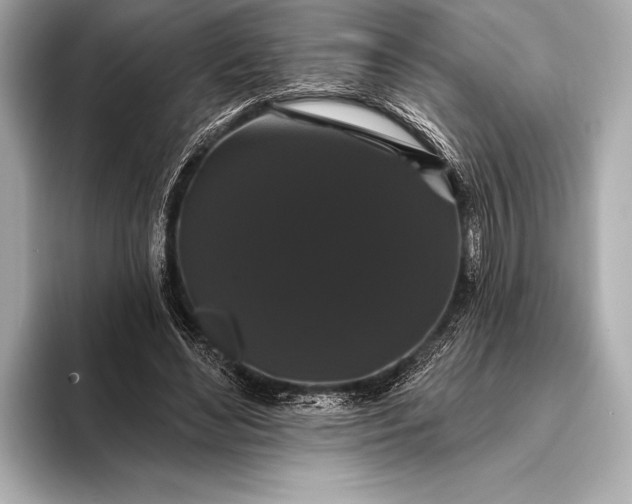 X0000093400492200710260920