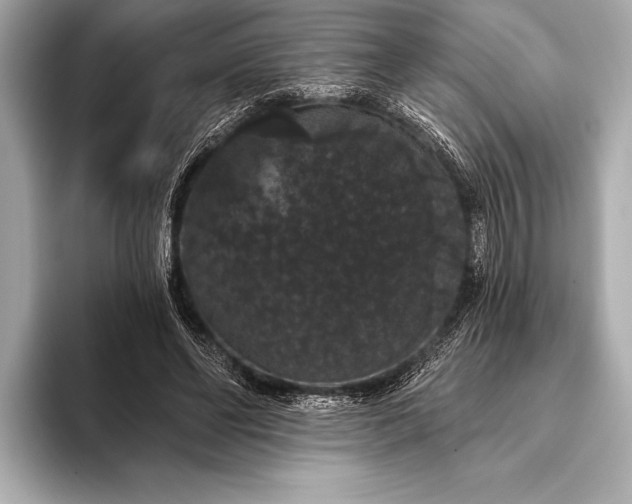 X0000093400494200710260920