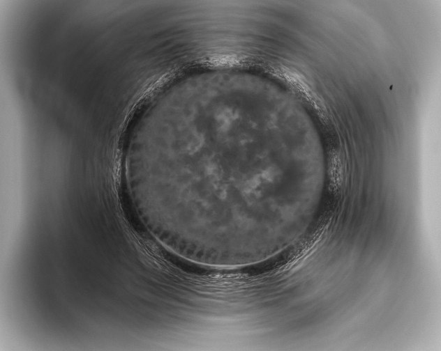 X0000093400495200710260920