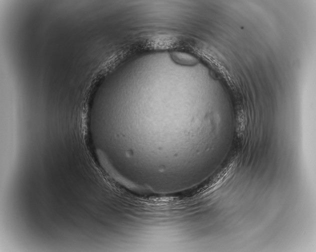 X0000093400497200710260920