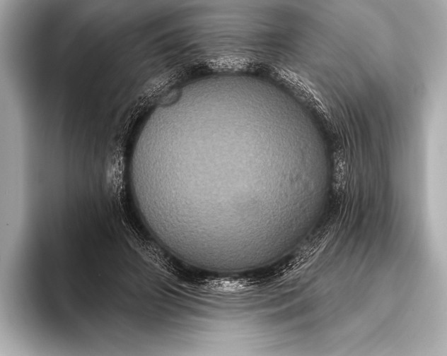 X0000093400498200710260920