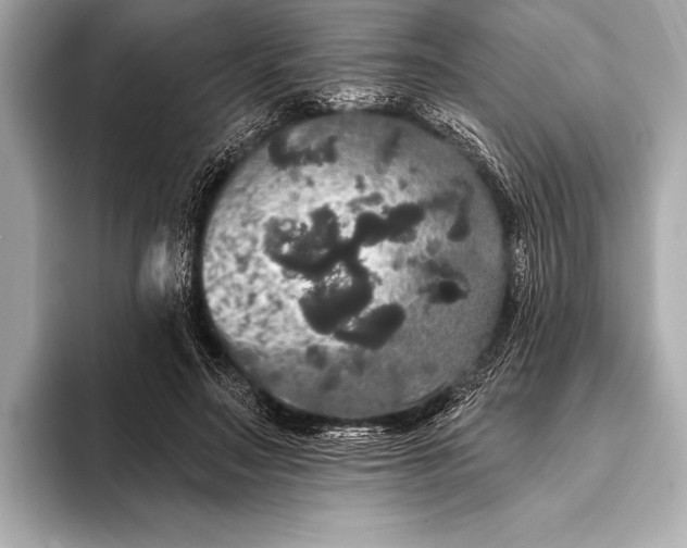 X0000093400499200710260920