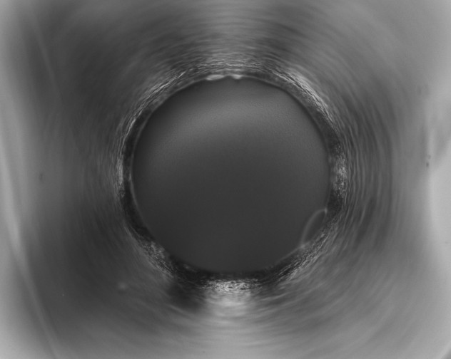 X0000093400500200710260920