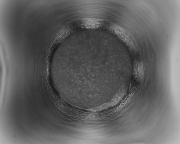 X0000093400501200710260920