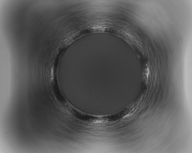 X0000093400504200710260920