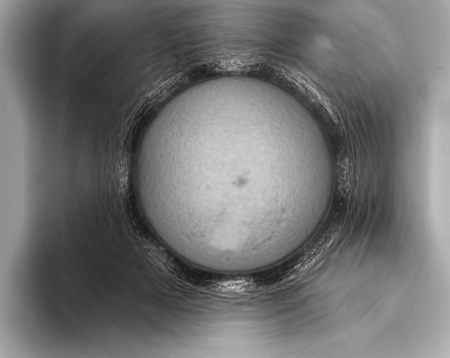 X0000093400505200710260920