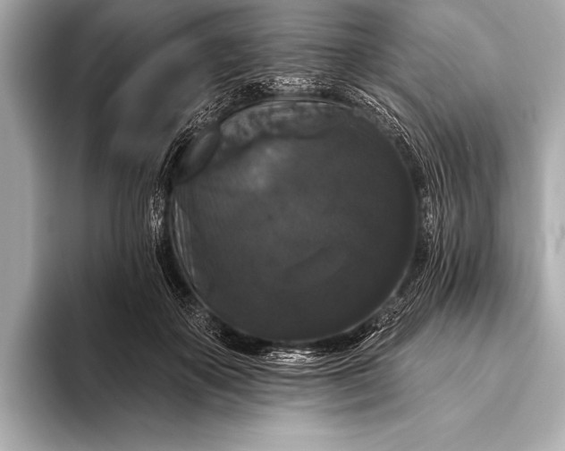 X0000093400507200710260920