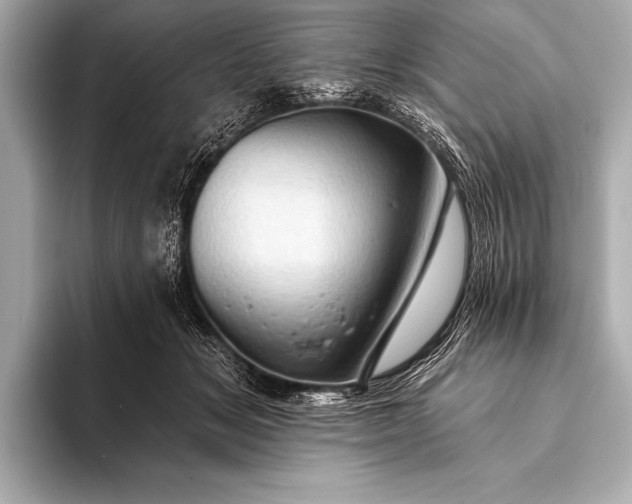 X0000093400509200710260920